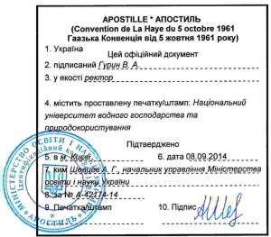 63283c1f1dda80a9cb9cffe7a4d3aed2-300x263